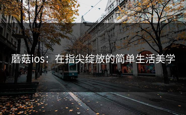 蘑菇ios:在指尖绽放的简单生活美学 蘑菇ios:在指尖绽放的简单生活美学